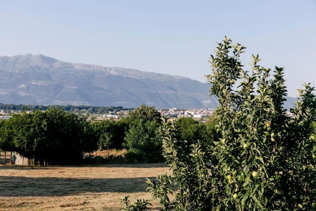 דירה στούντιο δίπλα στο πανεπιστήμιο και το νοσοκομείο *