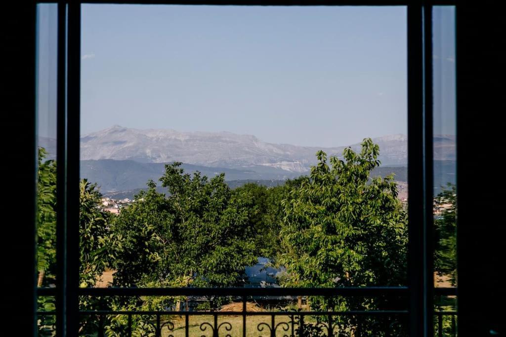 στούντιο δίπλα στο πανεπιστήμιο και το νοσοκομείο * Ioannina